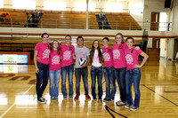 Volley for the Cure 2014